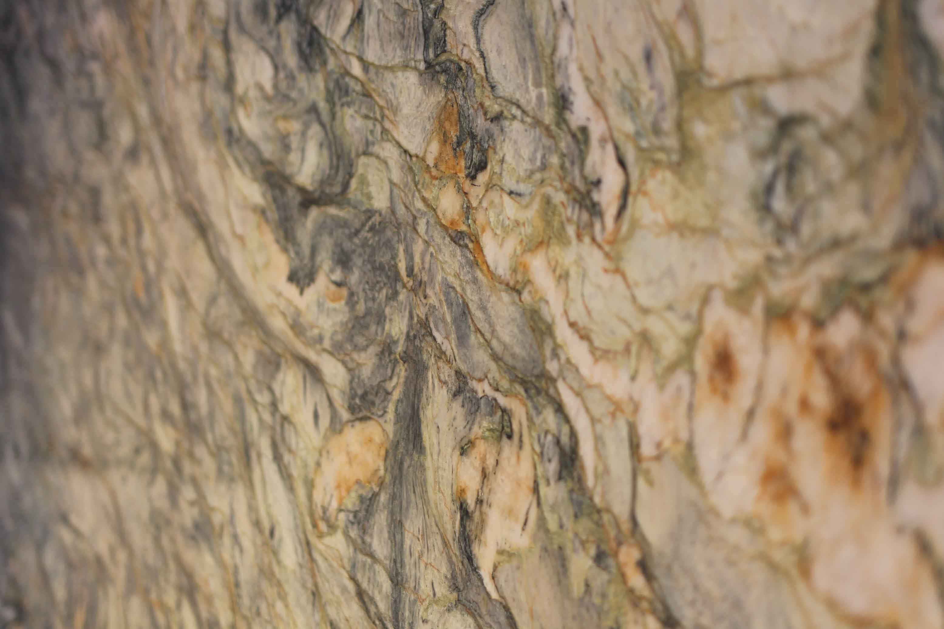 Granit Marbre en Normandie